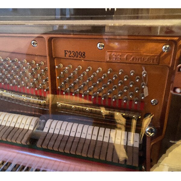 Feurich Custom Shop transparant piano.jpg