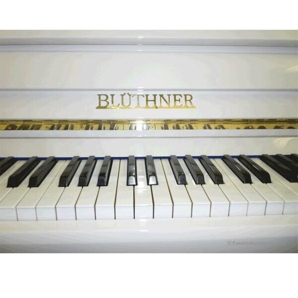 bluthner 120 wit.jpg