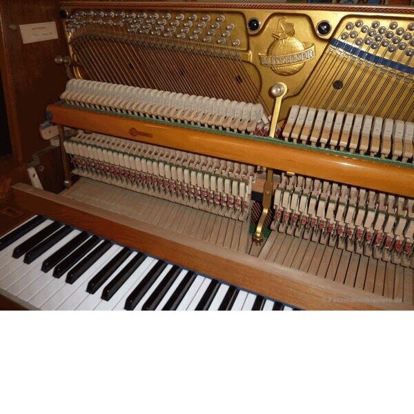 bluthner 120 wit.jpg