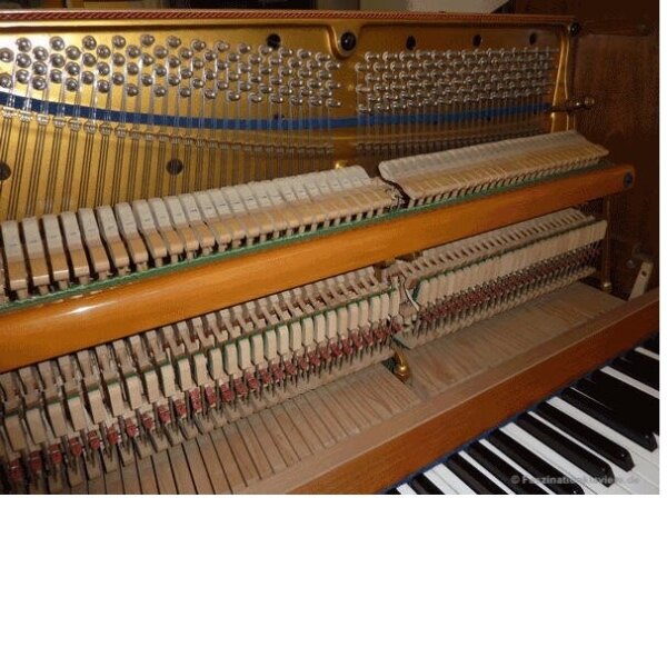 bluthner 120 wit.jpg