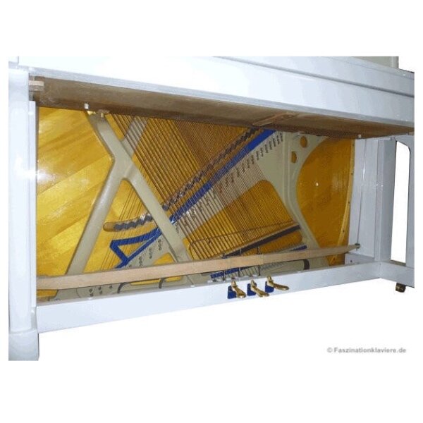 bluthner 120 wit.jpg