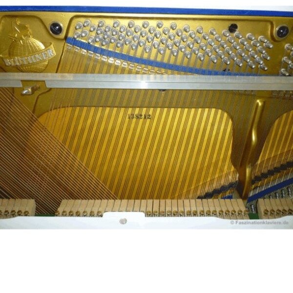 bluthner 120 wit.jpg